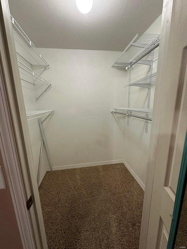 spacious closet with carpet