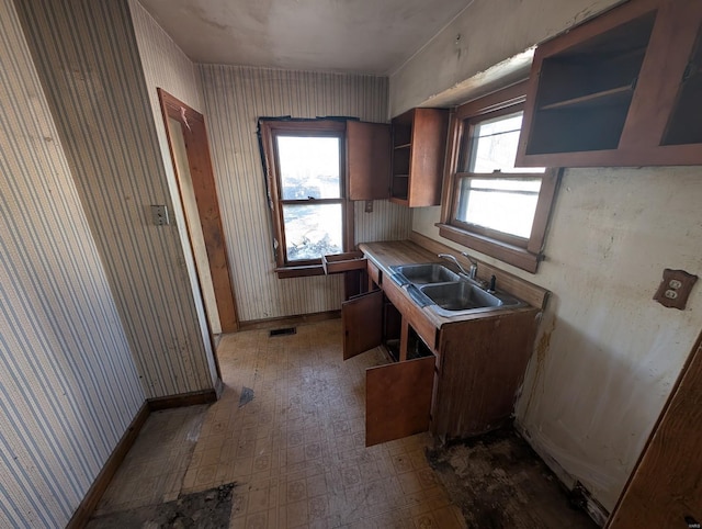 kitchen with sink and plenty of natural light