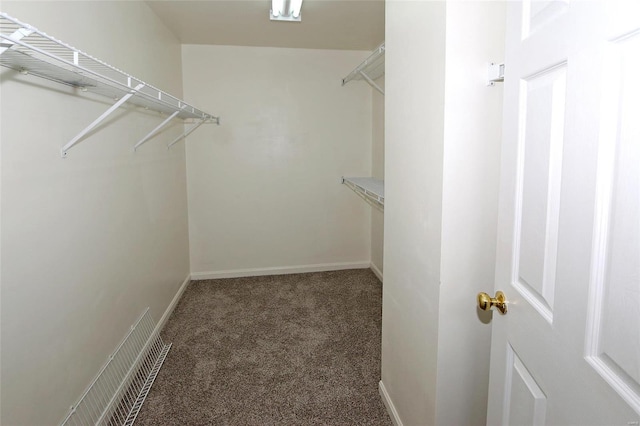 spacious closet featuring carpet