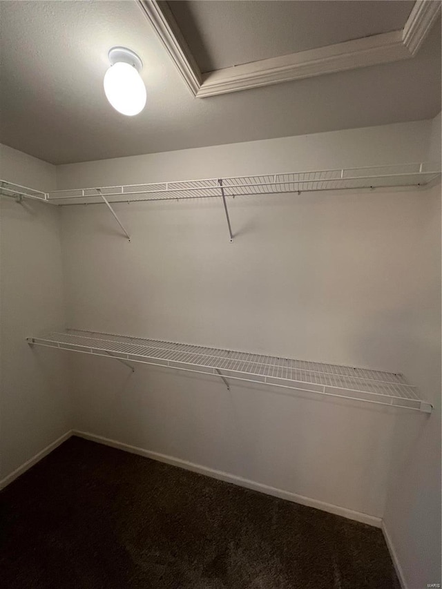 spacious closet with carpet floors