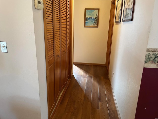 hallway with dark wood-type flooring