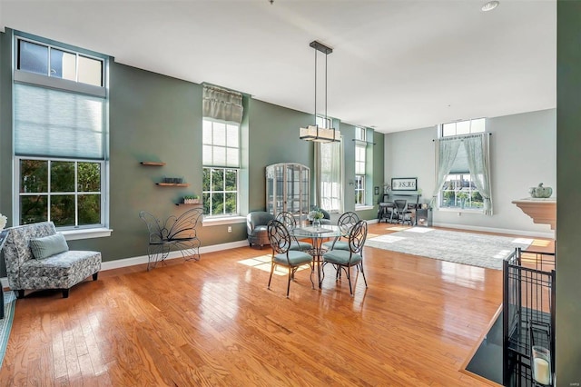 dining area with light hardwood / wood-style floors