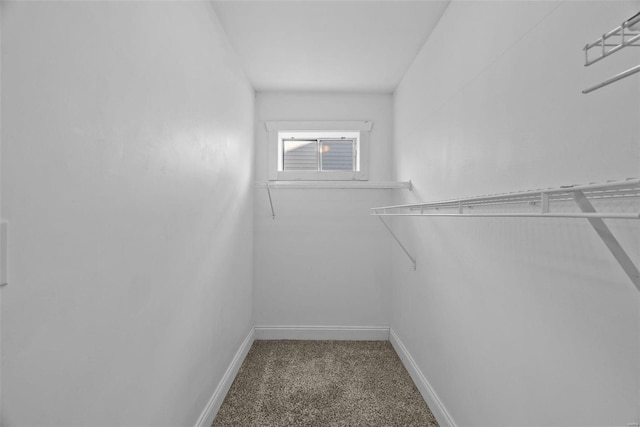 walk in closet featuring carpet flooring