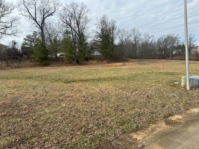 Listing photo 3 for 19 Karmen Ln, Poplar Bluff MO 63901