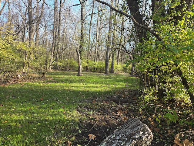 view of nature with a lawn