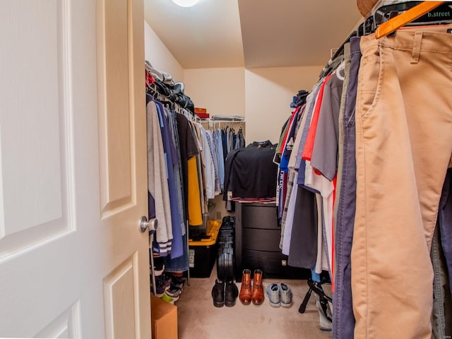 walk in closet featuring carpet floors