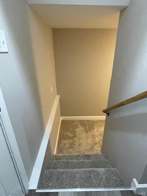 staircase with carpet floors