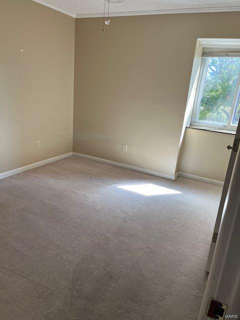 carpeted spare room featuring ornamental molding