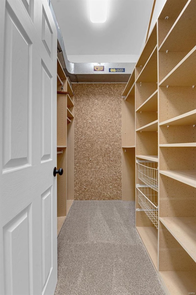 walk in closet with carpet flooring