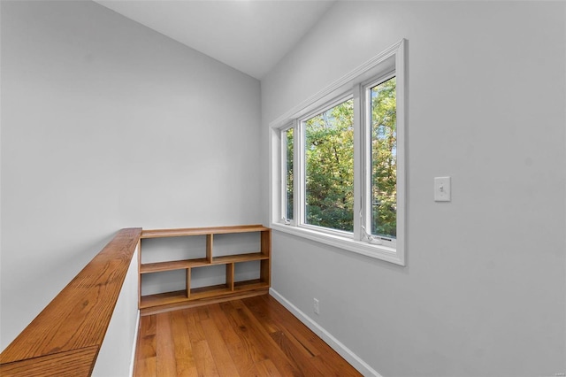 interior space with wood-type flooring