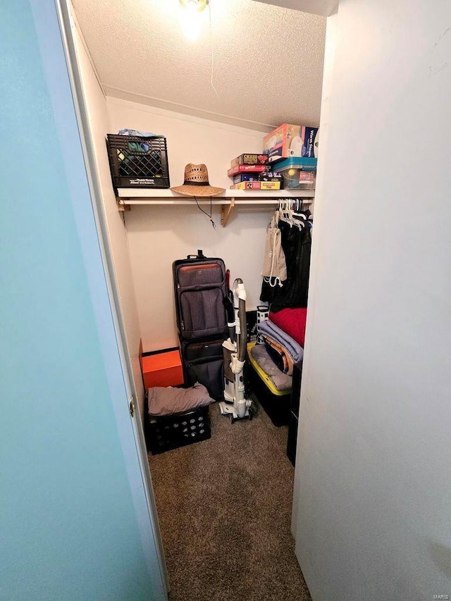 spacious closet with carpet