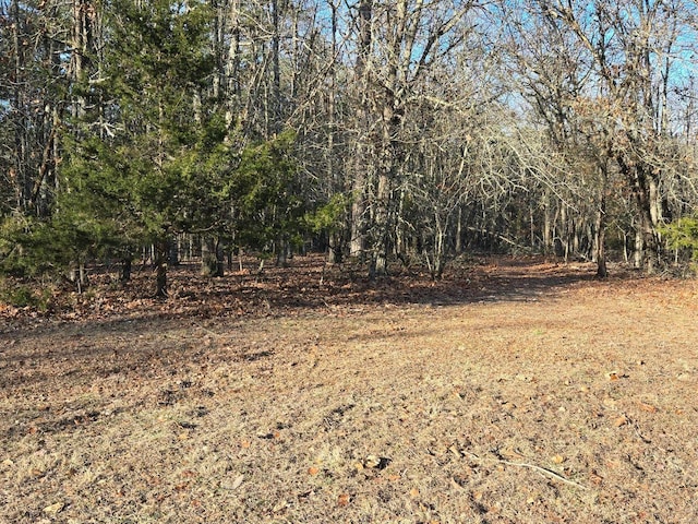 view of local wilderness