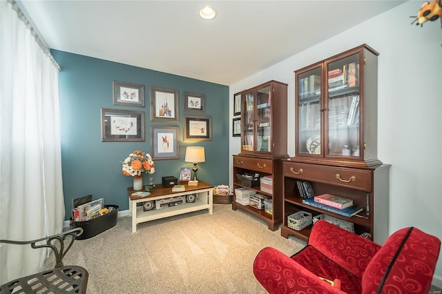 sitting room with carpet floors