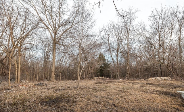 view of local wilderness