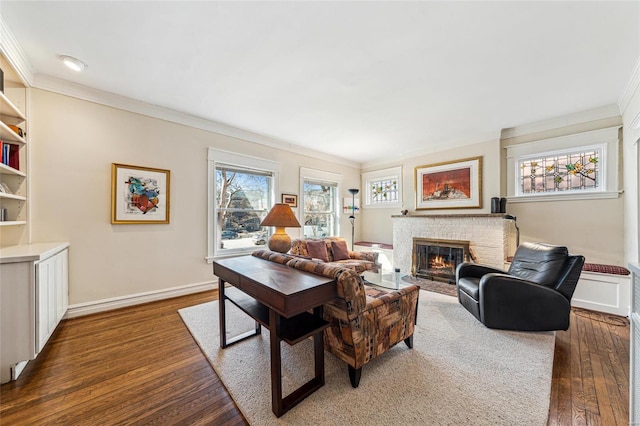 living room featuring crown molding, dark wood-style flooring, and a fireplace