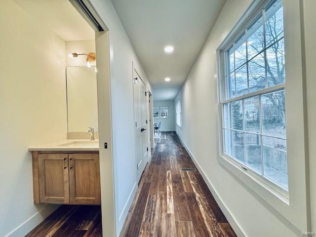 hall featuring plenty of natural light, baseboards, dark wood finished floors, and a sink