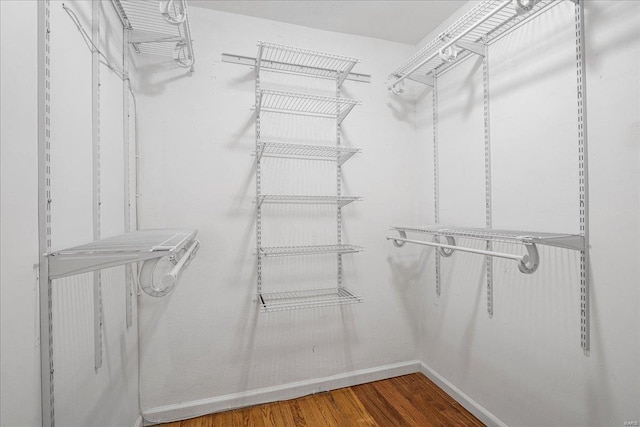 walk in closet featuring wood finished floors