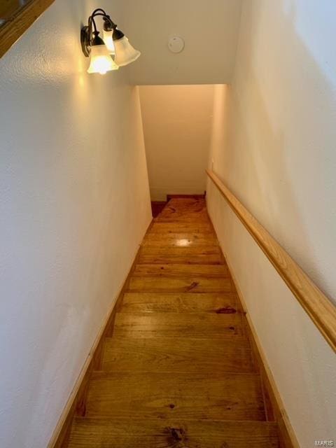 stairway with hardwood / wood-style flooring