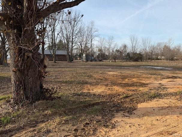 view of yard featuring a rural view