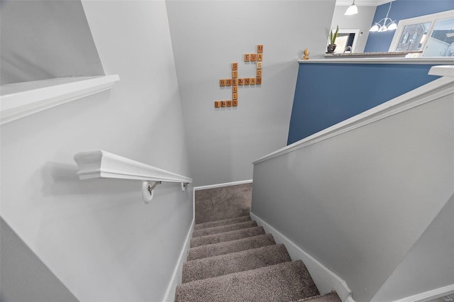 stairs featuring carpet and baseboards