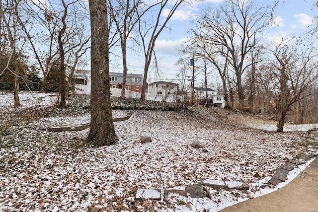 view of snowy yard