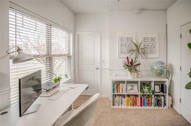 office space featuring carpet flooring