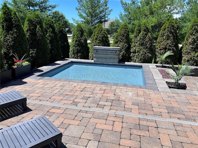 view of pool with a patio area