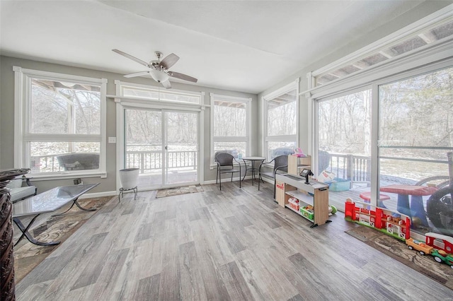 sunroom featuring ceiling fan, wood finished floors, and healthy amount of natural light