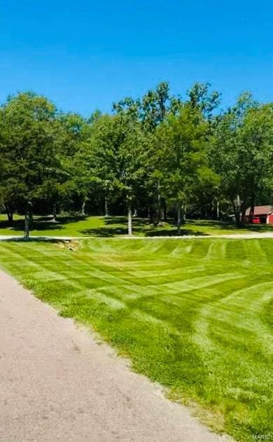 surrounding community featuring a yard