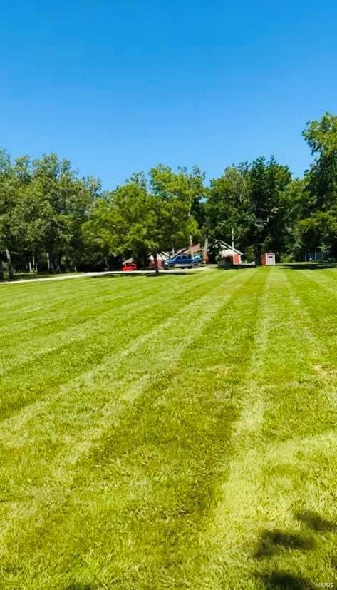 view of grassy yard