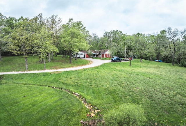 view of grassy yard featuring driveway