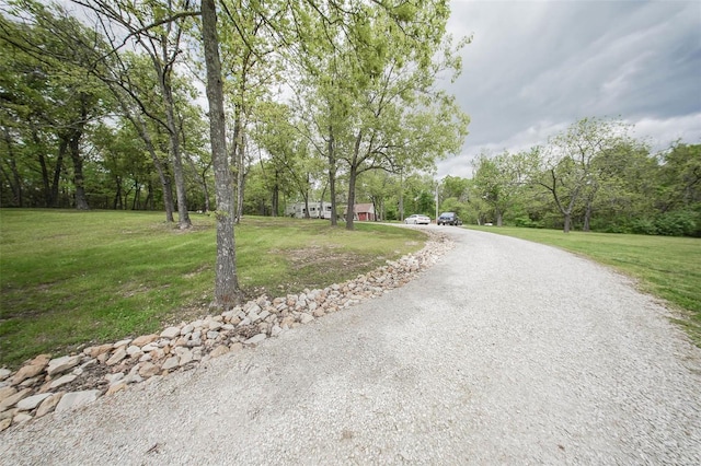 view of dirt / gravel driveway