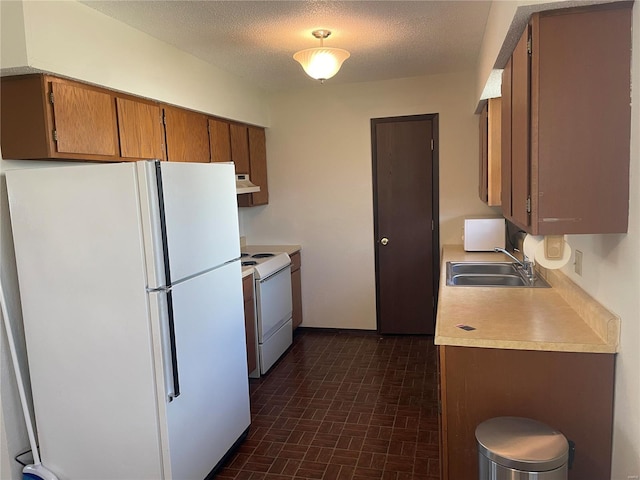 kitchen featuring under cabinet range hood, white appliances, a sink, light countertops, and brown cabinets