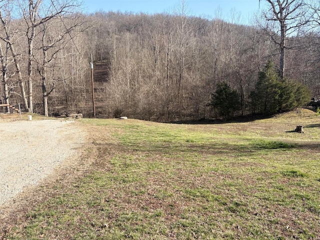 view of yard featuring a view of trees and driveway