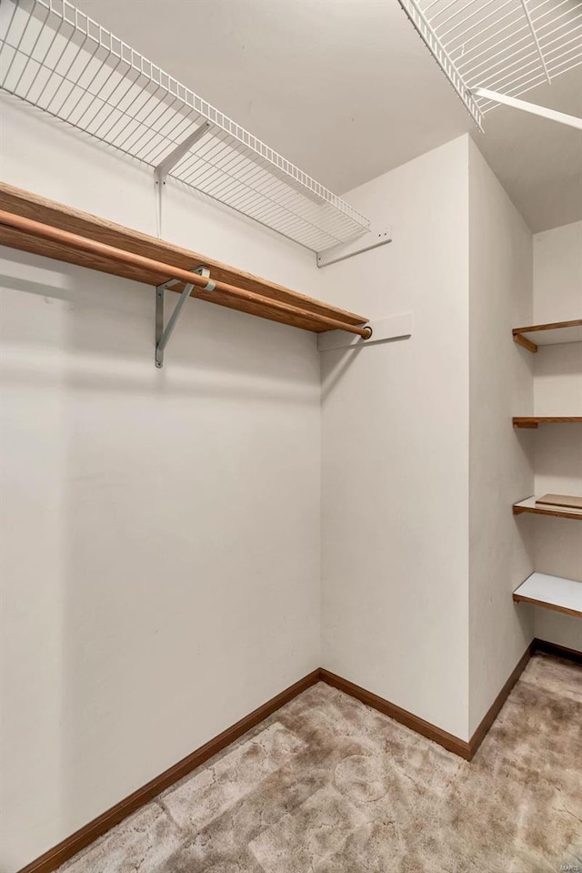 walk in closet featuring carpet flooring