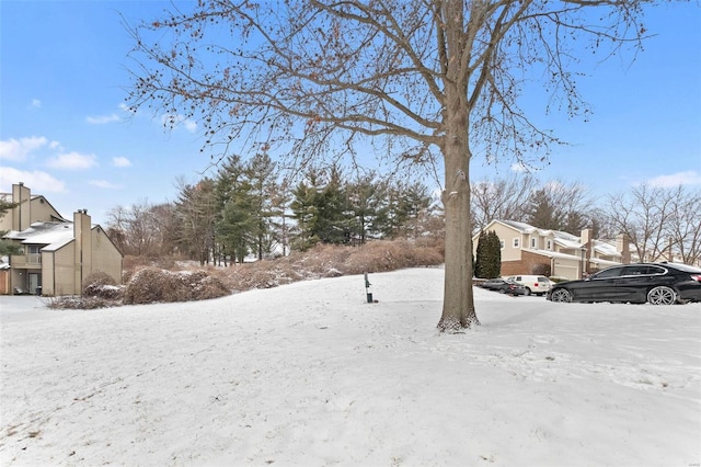 view of snowy yard