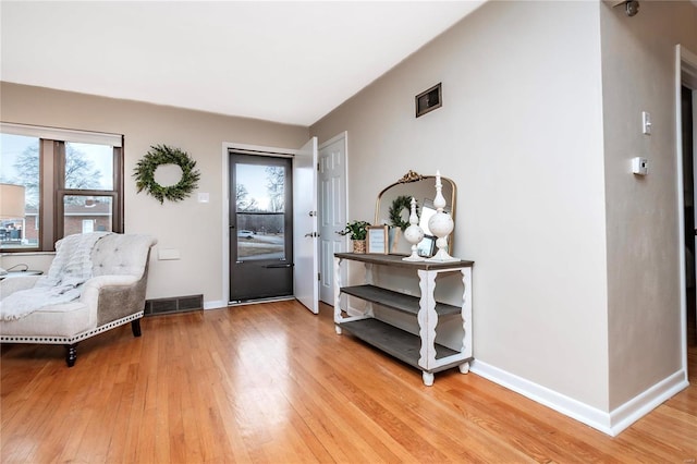 foyer with wood-type flooring