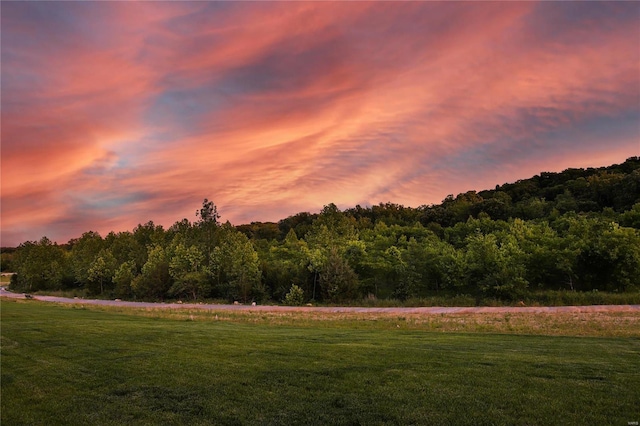 view of yard at dusk