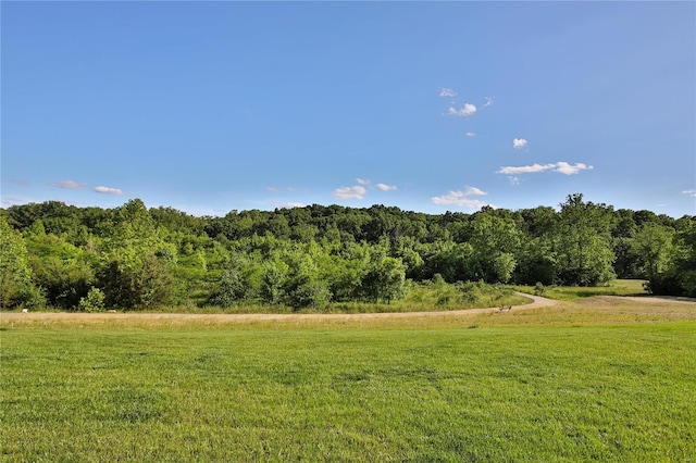 view of local wilderness