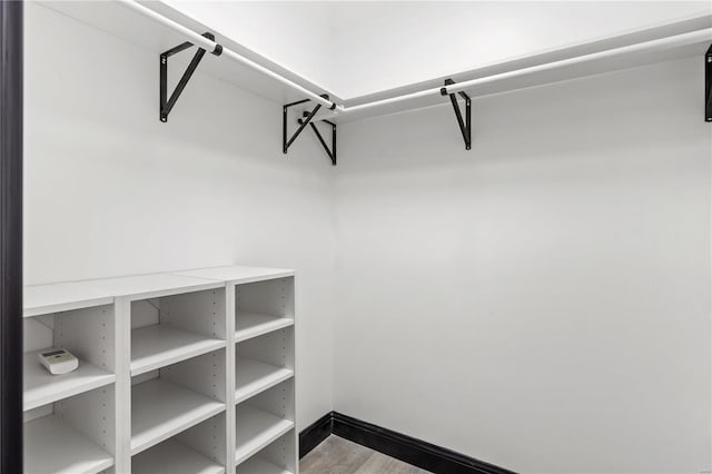 spacious closet featuring wood finished floors