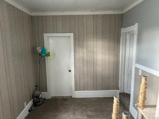 carpeted spare room with wooden walls