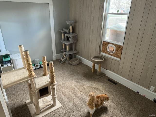 interior space featuring carpet flooring and wood walls