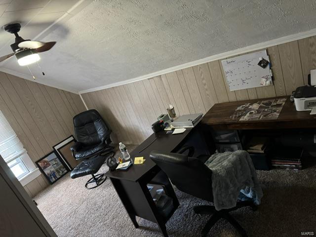 interior space featuring wooden walls, a textured ceiling, and ornamental molding