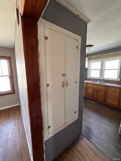 room details featuring a sink, wood finished floors, and baseboards