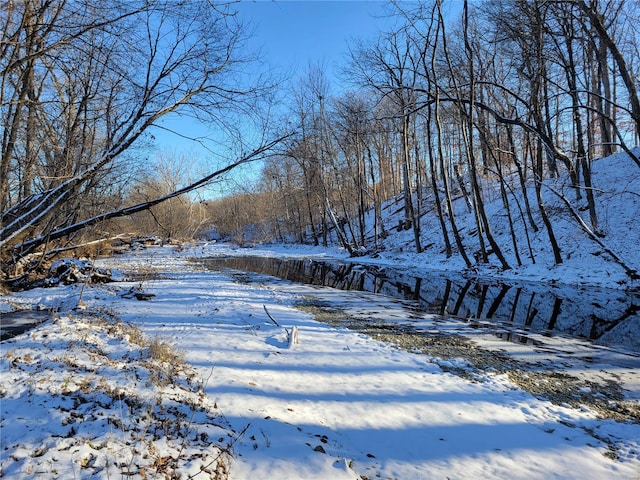 view of yard layered in snow