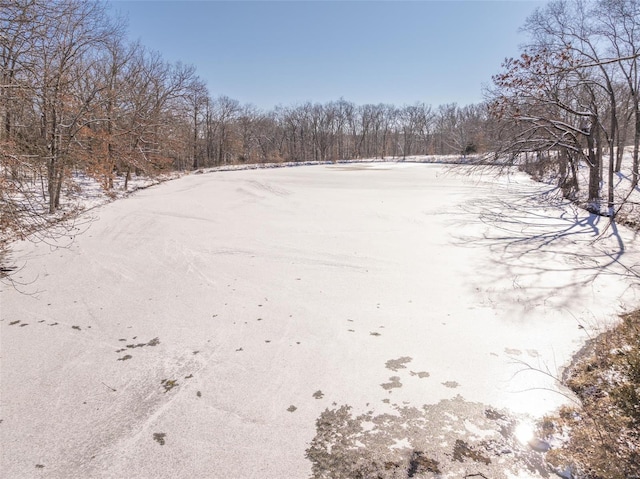 view of snowy yard