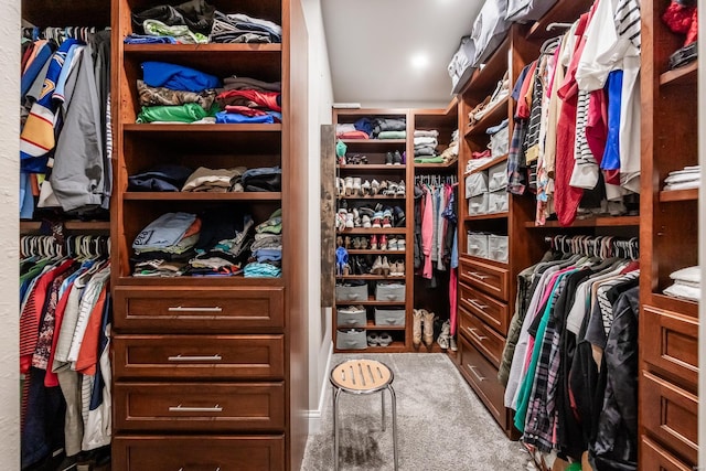 spacious closet with carpet floors