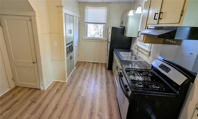 kitchen featuring stainless steel appliances, light wood finished floors, a sink, and decorative light fixtures