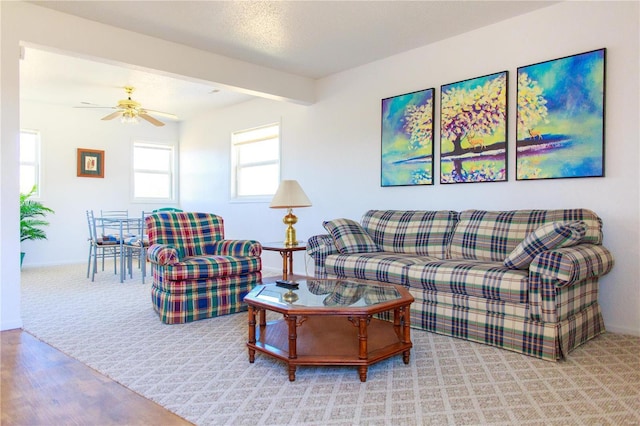 living room featuring wood finished floors, a ceiling fan, and baseboards