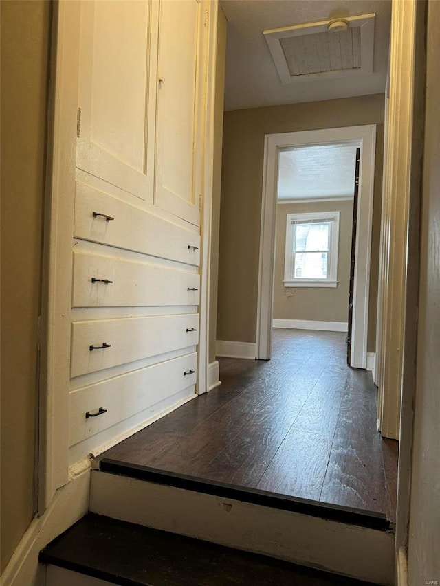 closet with visible vents